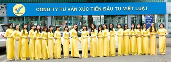 Cố vấn luật - Công ty Việt Luật
